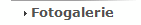 Fotogalerie