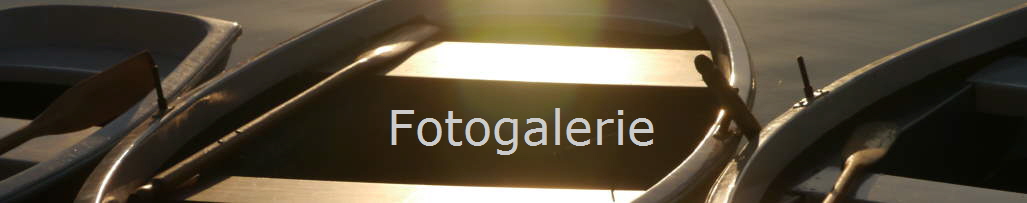 Fotogalerie