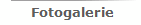 Fotogalerie